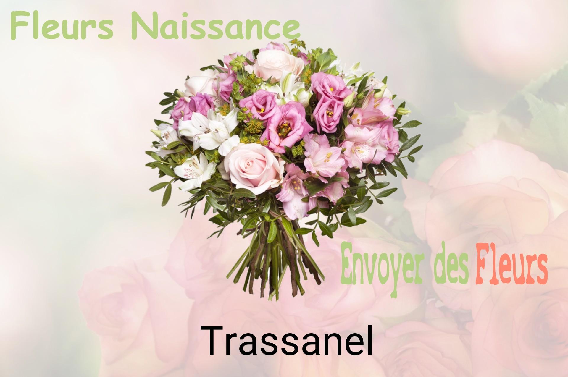Bouquet de fleurs de naissance livré à Trassanel